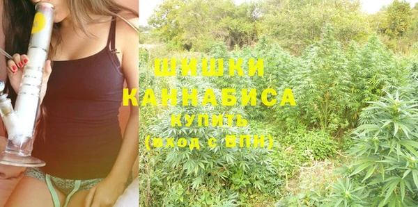 гидра Алексин