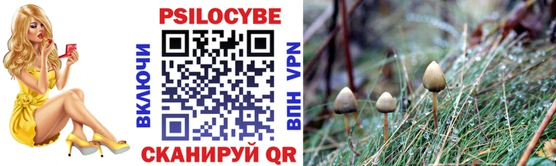Псилоцибиновые грибы Cubensis  купить  сайты  Советская Гавань 