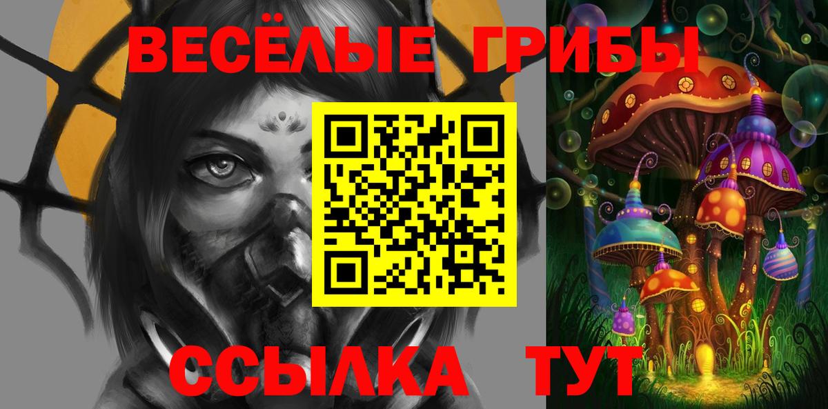 Советская Гавань  Псилоцибиновые грибы ЛСД  Вход с VPN  Галлюциногенные грибы мухоморы 