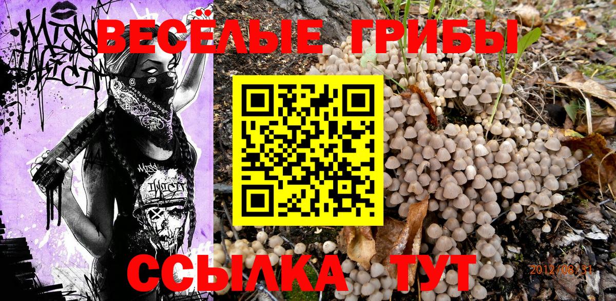Псилоцибиновые грибы мицелий Советская Гавань
